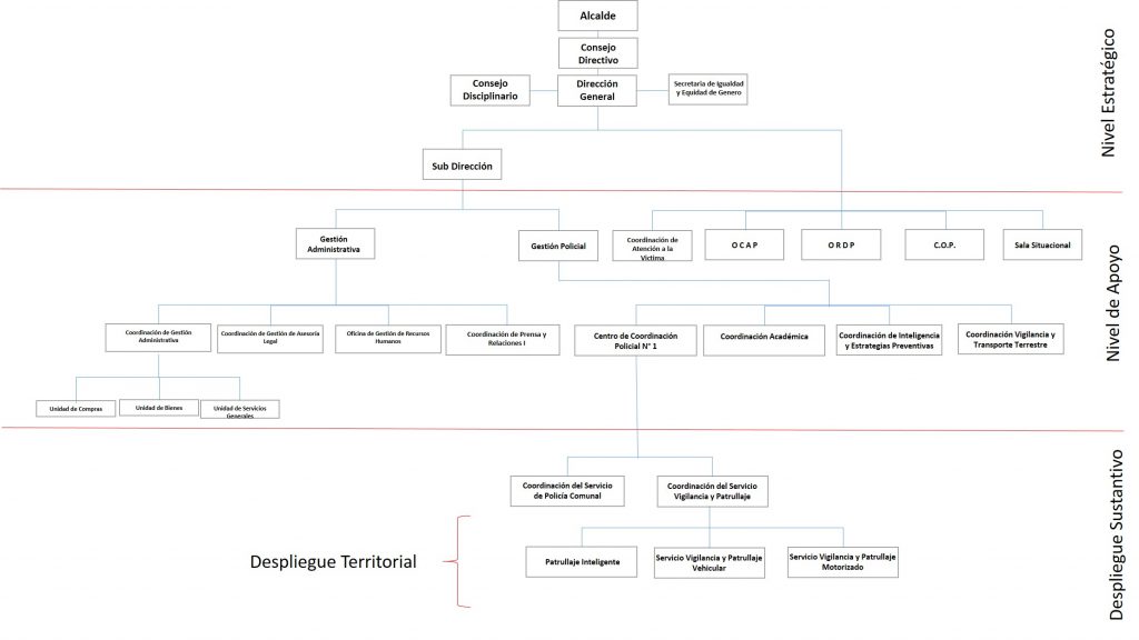 Organización PDMM